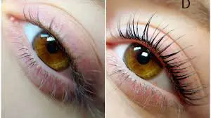 Elleebana lash lift